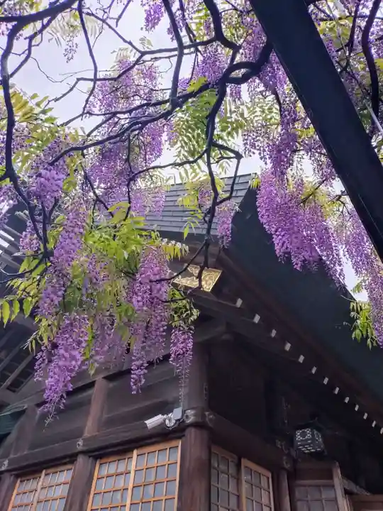 國領神社(東京都)