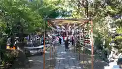 越谷香取神社(埼玉県)