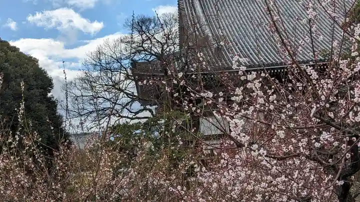 智積院(京都府)