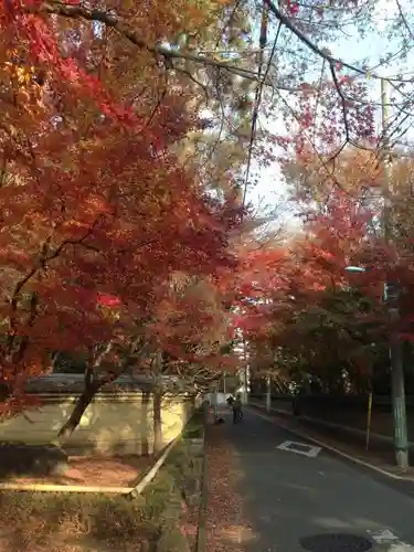 宝珠山　観泉寺の周辺