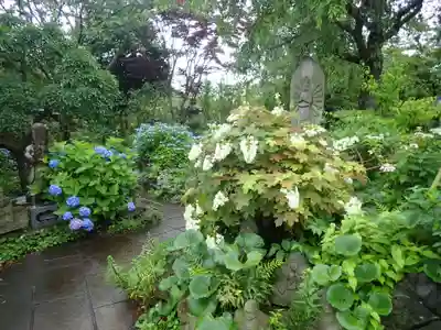 常泉寺(神奈川県)