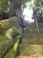 諏訪神社の自然