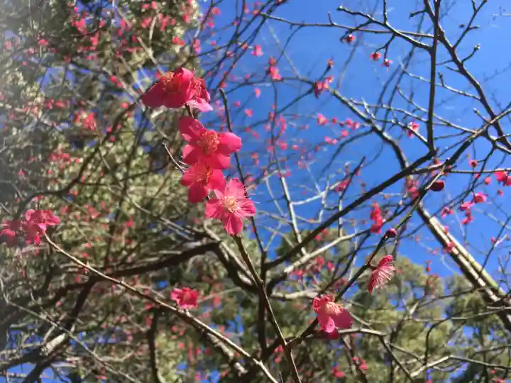 報徳二宮神社の自然