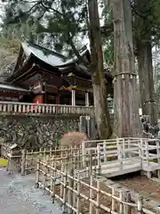 三峯神社(埼玉県)