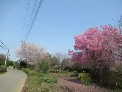 真光寺(千葉県)