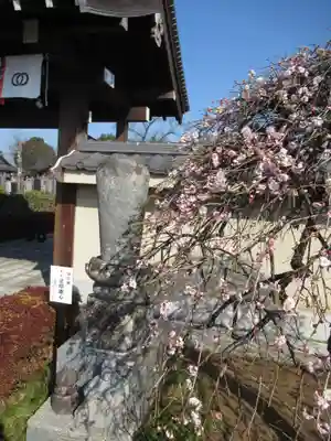 真光寺(千葉県)