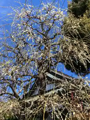 法蓮寺(神奈川県)