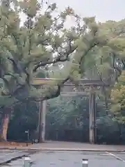 熱田神宮の鳥居