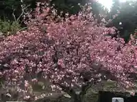 木舟山 順教寺の自然