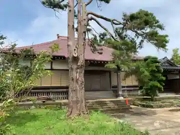 金乗院の本殿・本堂