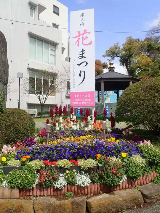 孝道山の御朱印