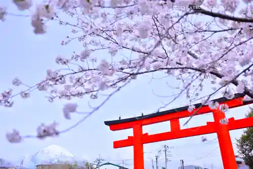 富士山本宮浅間大社(静岡県)