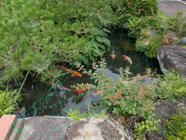 鳳林寺(岐阜県)