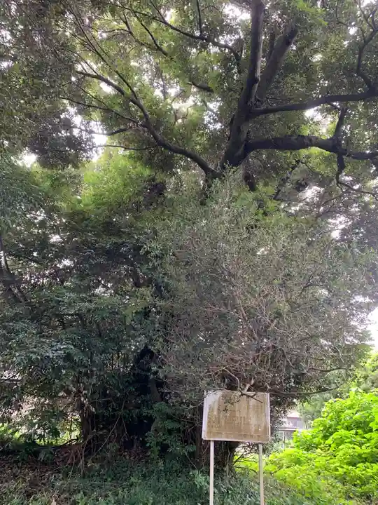 貴舟神社(千葉県)