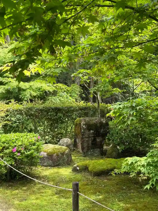 教林坊の{uncategorized: "未分類", other: "その他", undefined: "問題あり", building: "その他建物", grave: "お墓", sacred_gate: "鳥居", guardian: "狛犬", statue: "像", buddha: "仏像", history: "歴史", nature: "自然", garden: "庭園", animal: "動物", pagoda: "塔", temizu: "手水舎", mountain_gate: "山門・神門", sanctuary: "本殿・本堂", subordinate: "末社・摂社", art: "芸術", scenery: "景色", jizo: "地蔵", ema: "絵馬", goshuin: "御朱印", omikuji: "おみくじ", items: "授与品その他", amulet: "お守り", goshuincho: "御朱印帳", eats: "食事", festival: "お祭り", votive_dance: "神楽", shichigosan: "七五三参", wedding: "結婚式", experience: "体験その他", initially: "初詣", around: "周辺", anti_infection: "感染症対策"}