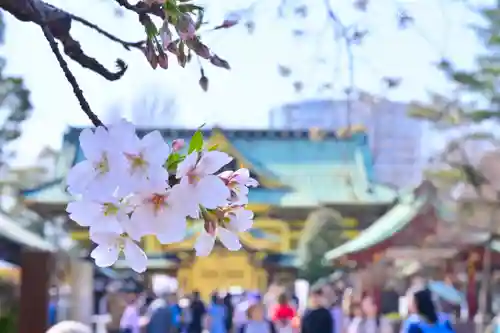 上野東照宮(東京都)