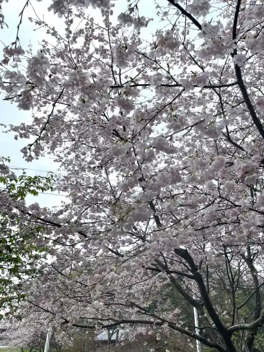 糀谷八幡宮(埼玉県)