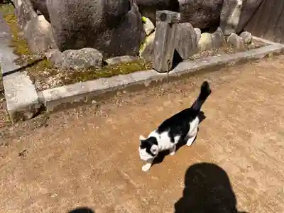 観音正寺(滋賀県)