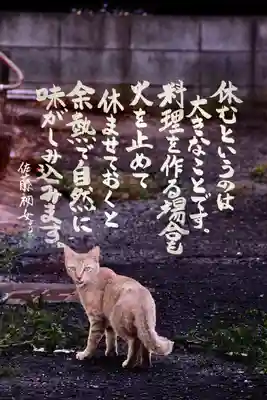 専念寺(大阪府)