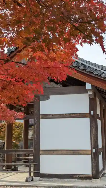 海印寺寂照院(京都府)