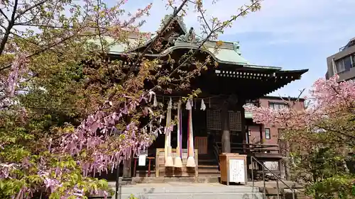 桜神宮の本殿・本堂