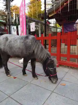 神田神社（神田明神）(東京都)