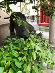 富岡八幡宮の狛犬