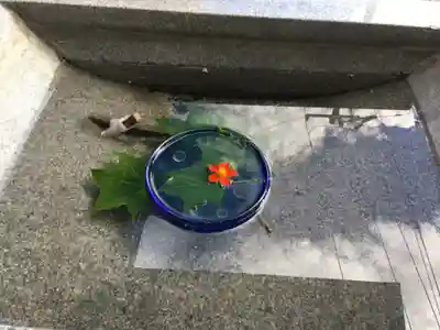 金刀比羅神社の手水舎