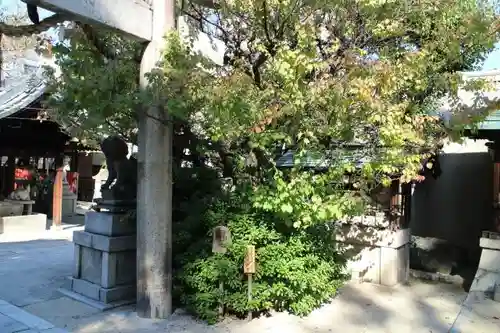 菅大臣神社の庭園