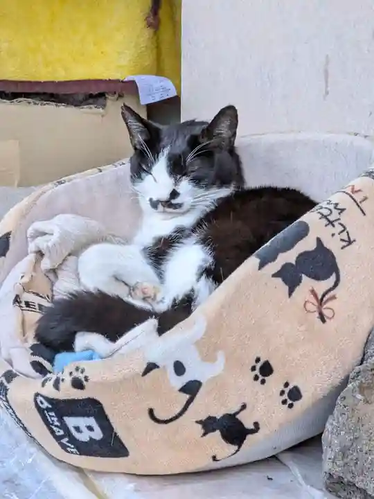 白金氷川神社(東京都)