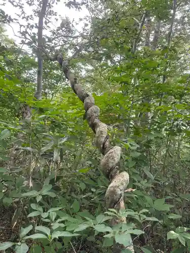 駒形神社奥宮(岩手県)