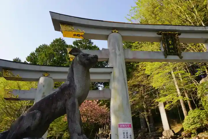 三峯神社(埼玉県)