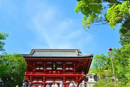 鶴岡八幡宮(神奈川県)
