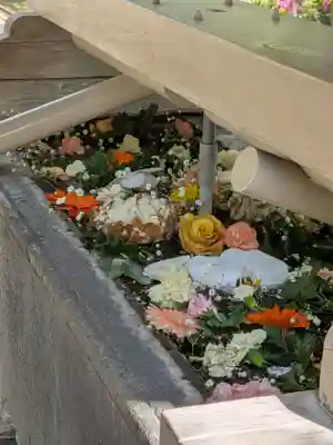 鳩森八幡神社(東京都)