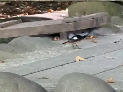 諏訪大社上社前宮(長野県)