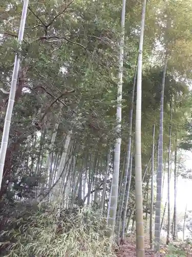 三芳野神社の自然