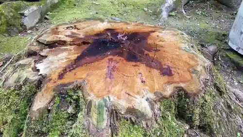 迦葉山龍華院弥勒護国寺（弥勒寺）の自然