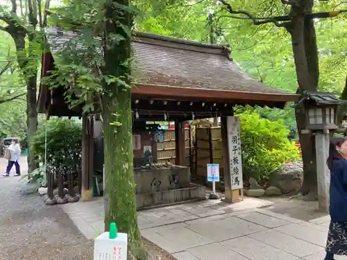 愛宕神社の手水舎