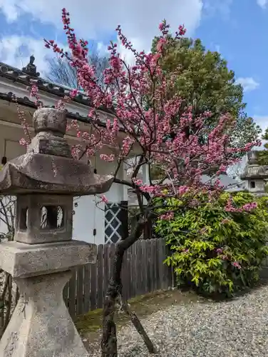 御香宮神社の自然
