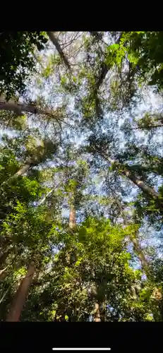 出雲伊波比神社の自然