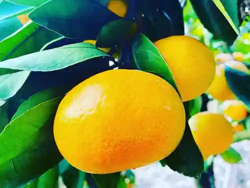 彦嶽宮(熊本県)