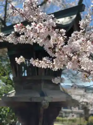 関善光寺の{uncategorized: "未分類", other: "その他", undefined: "問題あり", building: "その他建物", grave: "お墓", sacred_gate: "鳥居", guardian: "狛犬", statue: "像", buddha: "仏像", history: "歴史", nature: "自然", garden: "庭園", animal: "動物", pagoda: "塔", temizu: "手水舎", mountain_gate: "山門・神門", sanctuary: "本殿・本堂", subordinate: "末社・摂社", art: "芸術", scenery: "景色", jizo: "地蔵", ema: "絵馬", goshuin: "御朱印", omikuji: "おみくじ", items: "授与品その他", amulet: "お守り", goshuincho: "御朱印帳", eats: "食事", festival: "お祭り", votive_dance: "神楽", shichigosan: "七五三参", wedding: "結婚式", experience: "体験その他", initially: "初詣", around: "周辺", anti_infection: "感染症対策"}