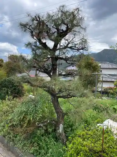 蓮華寺(兵庫県)