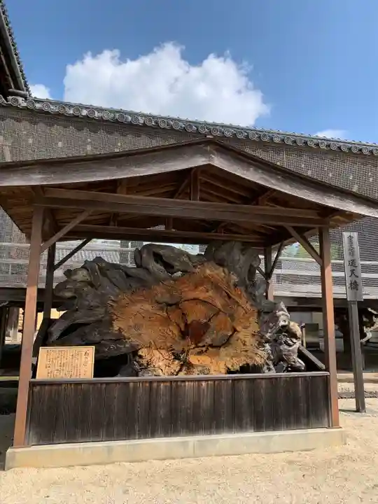 本山専修寺の自然