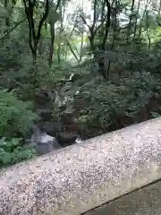 明治神宮の庭園