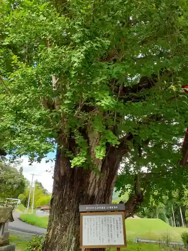 天王寺(福島県)