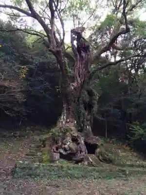 武雄神社(佐賀県)