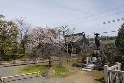 上品蓮台寺のその他建物