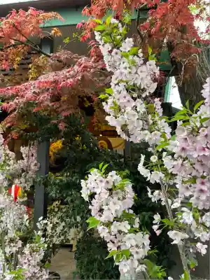 波除神社（波除稲荷神社）の自然