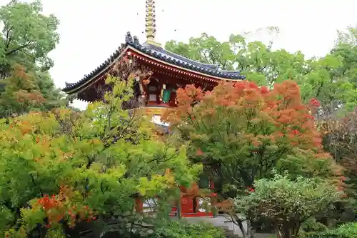 温泉山 安楽寺(四国霊場第六番札所)の建物その他